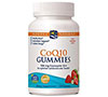 CoQ10 Gummies